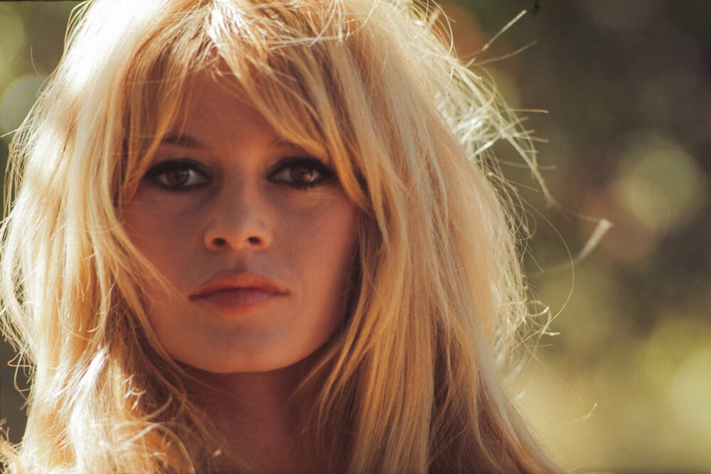 id-couv-bardot