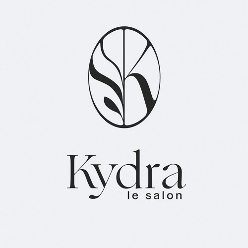 web logo kydra le salon