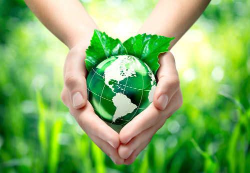 vie quotidienne développement durable recad