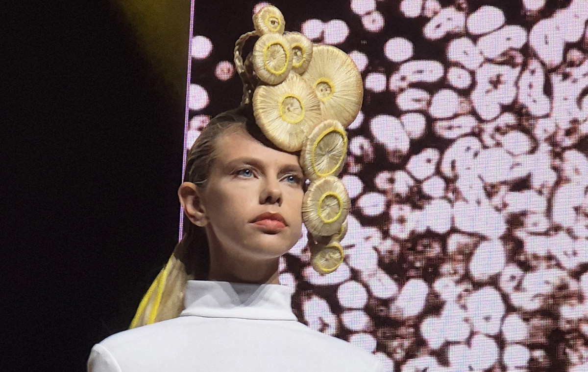 Hair Congress : l'éblouissement !