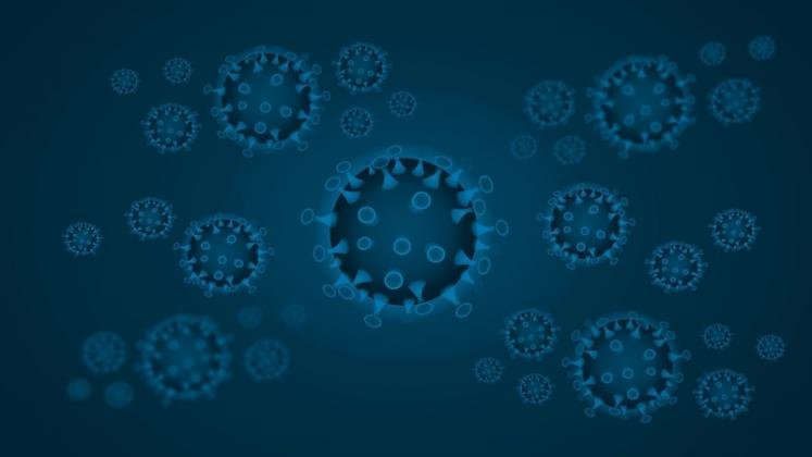 Les coiffeurs face au coronavirus